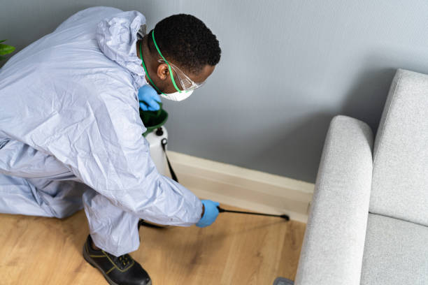 Best Residential Pest Control  in Richlands, VA